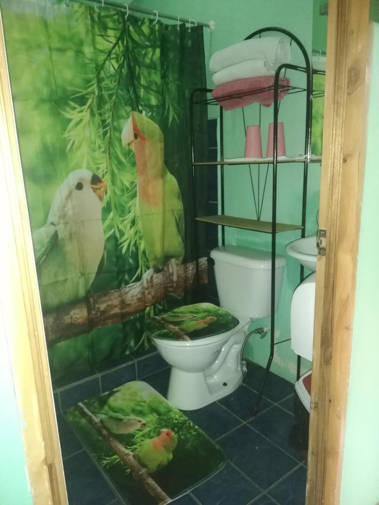 Cabanas San Gerardo San Gerardo de Dota Εξωτερικό φωτογραφία