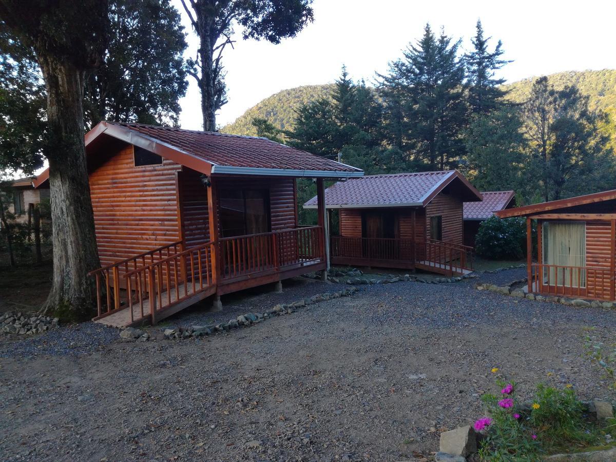 Cabanas San Gerardo San Gerardo de Dota Εξωτερικό φωτογραφία